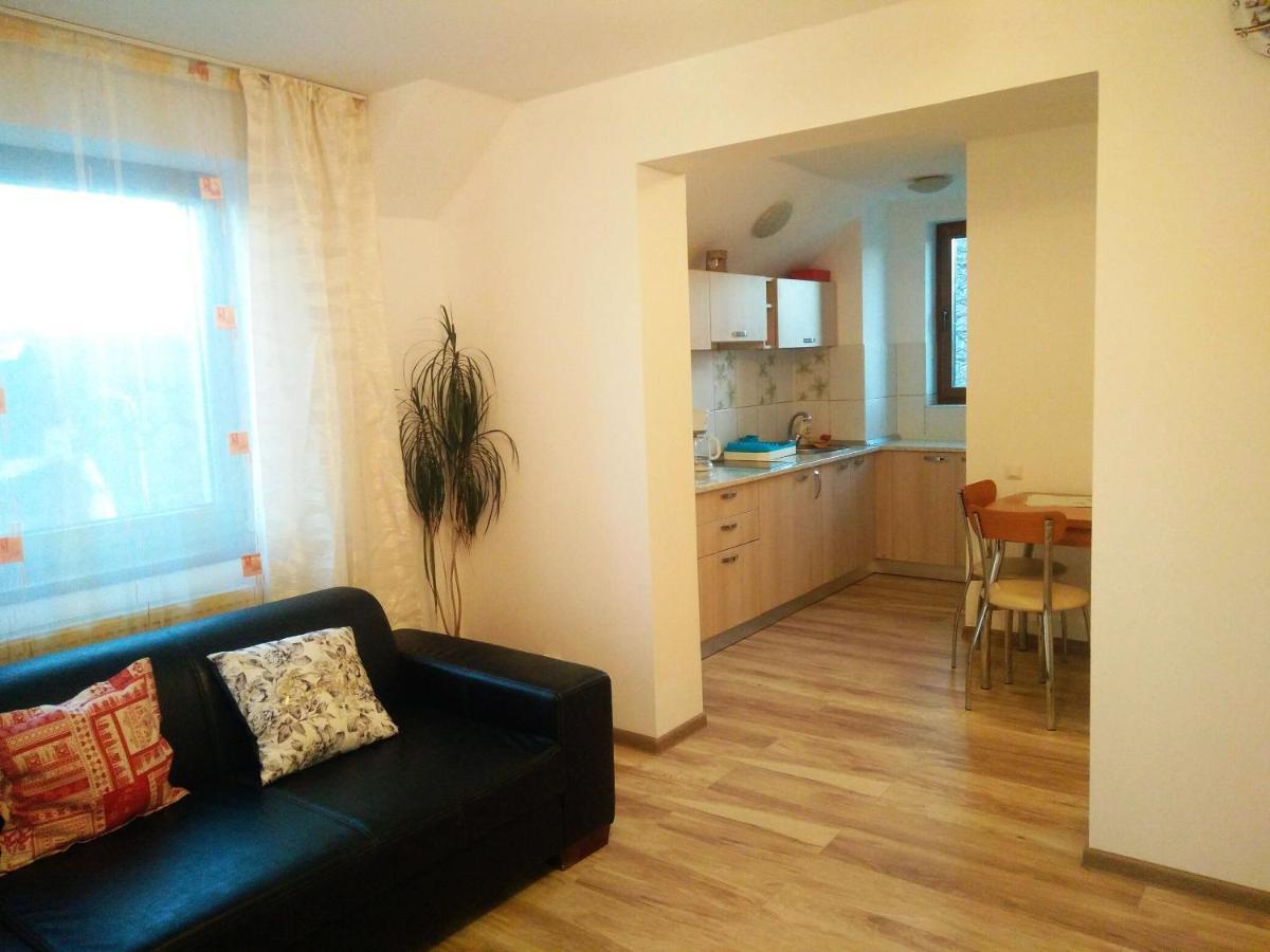 Smb Holiday Apartment Braşov Extérieur photo
